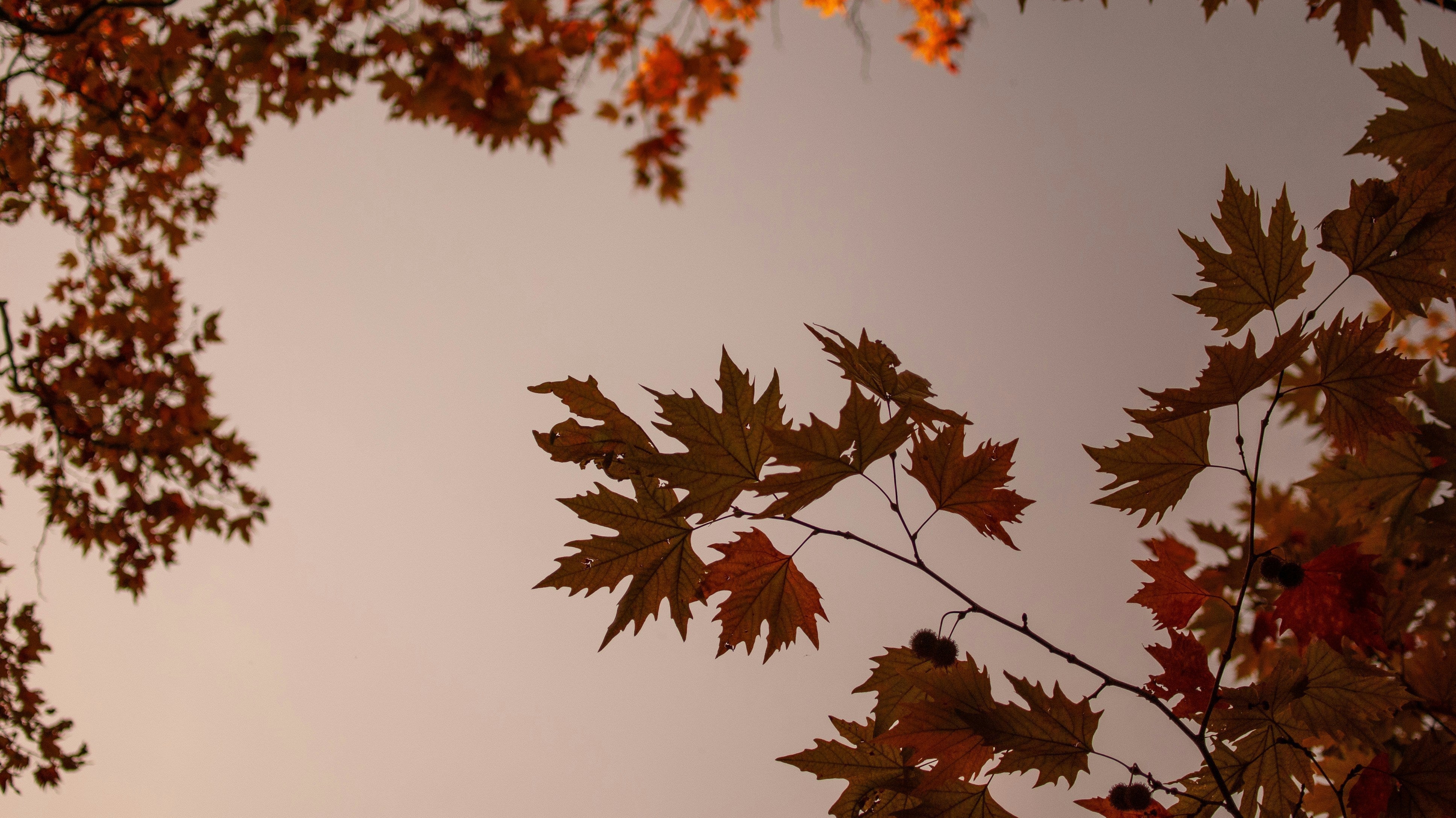 The Art of the Autumn Reset: How to Transition Your Life (Not Just Your Wardrobe) from Summer to Fall