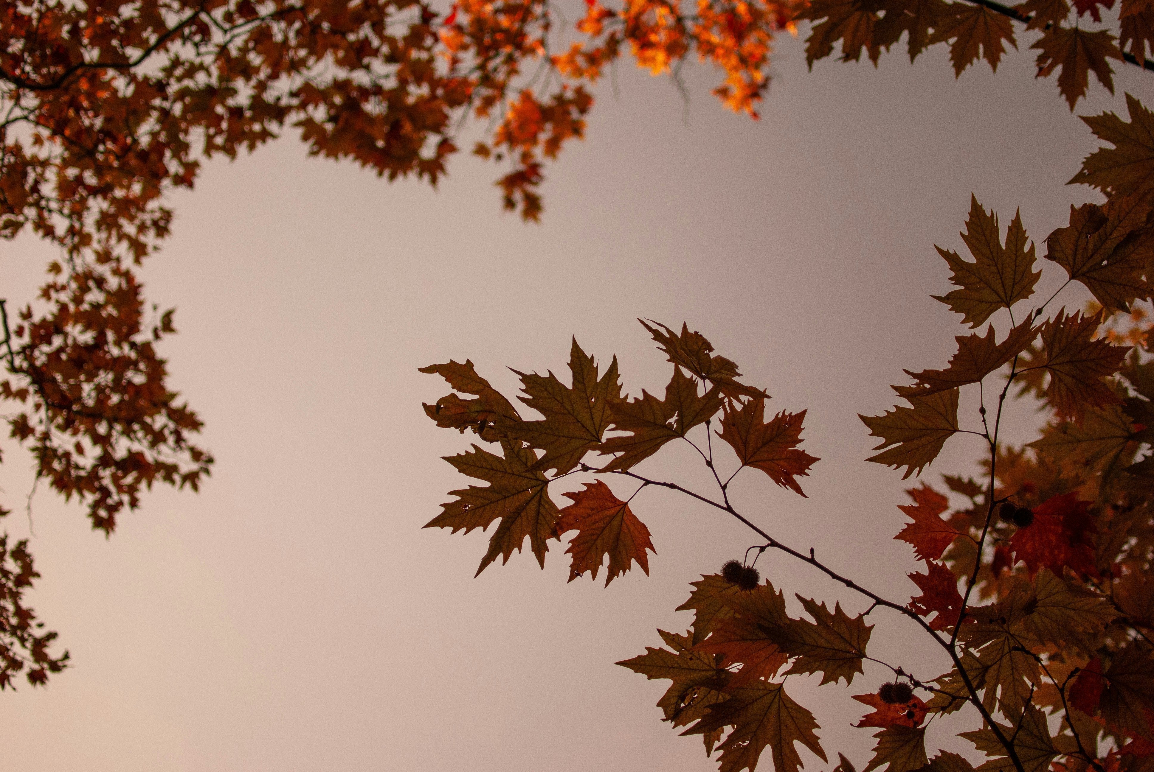 The Art of the Autumn Reset: How to Transition Your Life (Not Just Your Wardrobe) from Summer to Fall